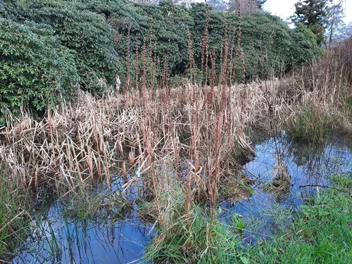 20240103 142551kopie