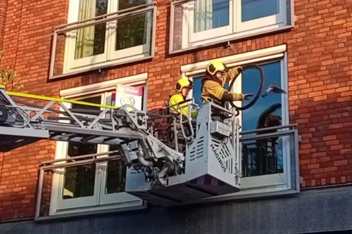 01-08-2025 Dier op hoogte Uden 01