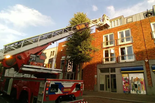 01-08-2025 Dier op hoogte Uden 03