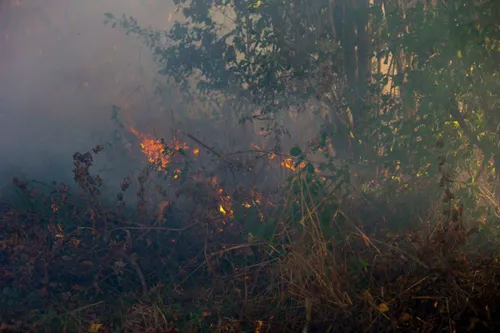 07-09-2025 Heidebrand Uden 03