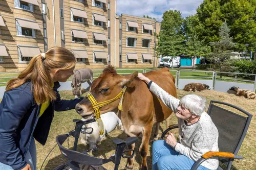 07. Keet's Kinderboerderij (2 september 2025)