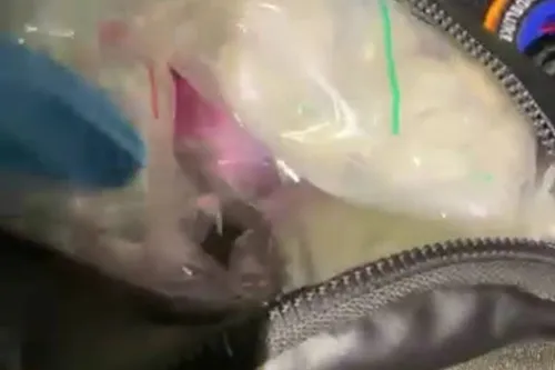 Aanhouding Udenaar met drugs 01