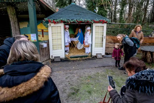 02. Levende kerststal Kinderboerderij (foto Peter Noy C)
