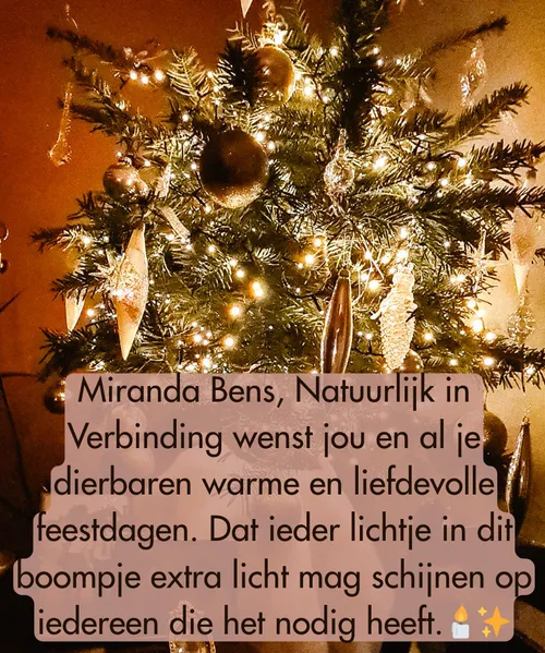 Afbeelding bij artikel 5