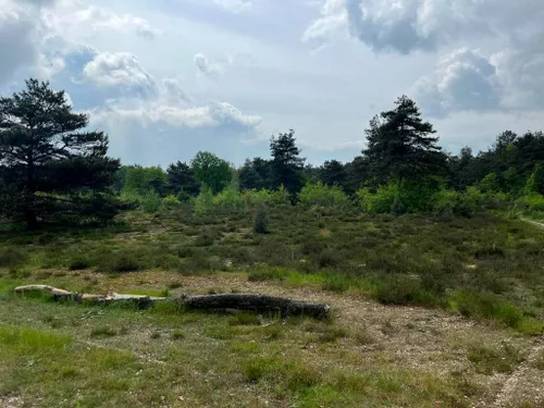 09-03-2026 Reekse Heide 02