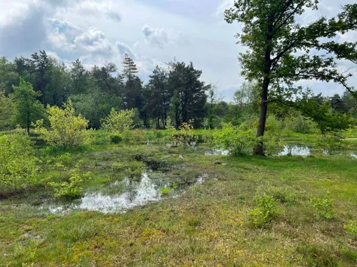 09-03-2026 Reekse Heide 03