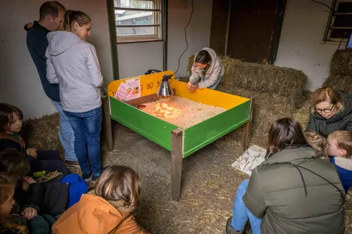 5. Lentefeest Kinderboerderij 2024 (foto Peter Noy ©)