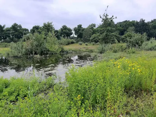 Stadsweide 2024-1