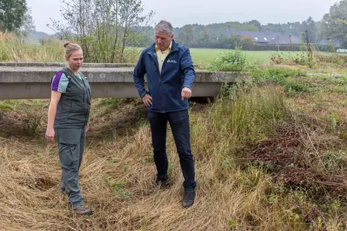 3. Droogte in De Maashorst (foto Peter Noy ©)