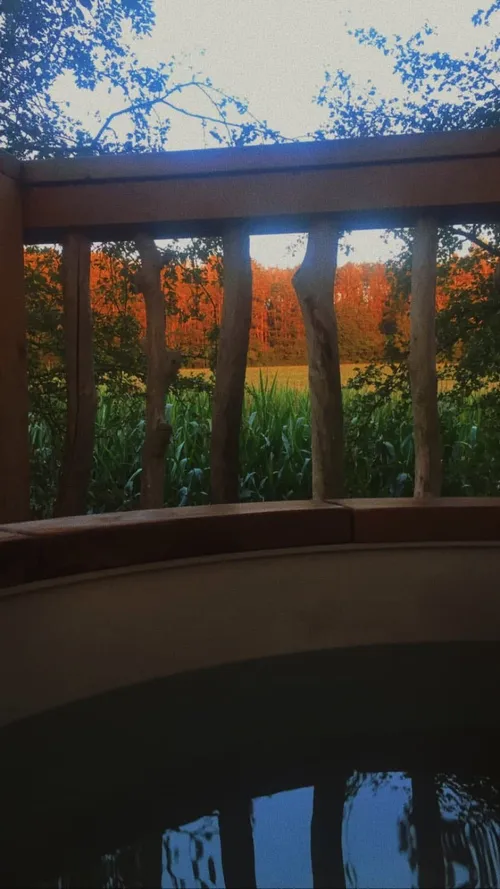 sophiebouquet 298588696 1788296598204561 968645603064793044 n