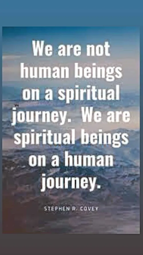 271185433 1352986681839113 1217810214976969555 n