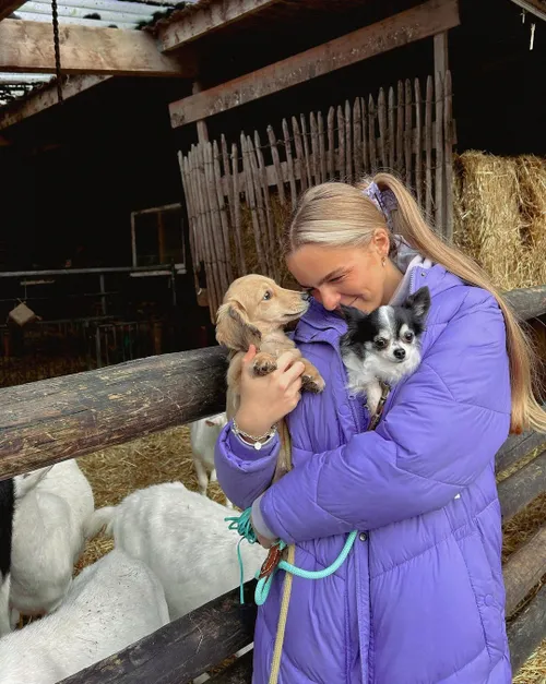 403859680 885576996605252 7730925090183993929 n