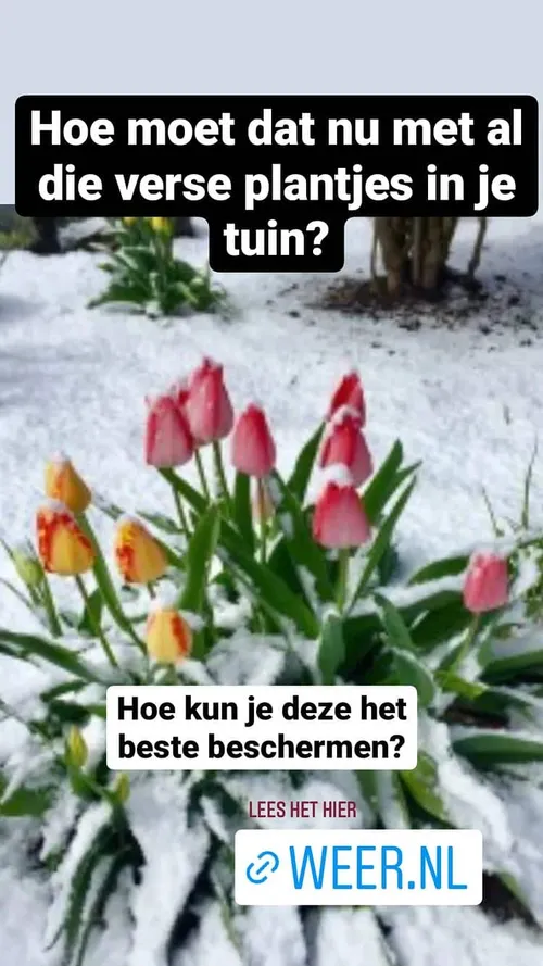 amaraonwuka 277030651 1155206248576659 6114288912236790686 n