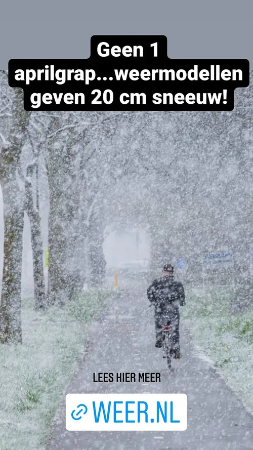 amaraonwuka 277444825 113308714656017 2554863419918065774 n