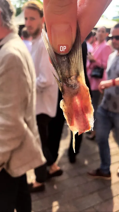 celinehuijsmans 288557269 1069103193738594 7382314098315312237 n