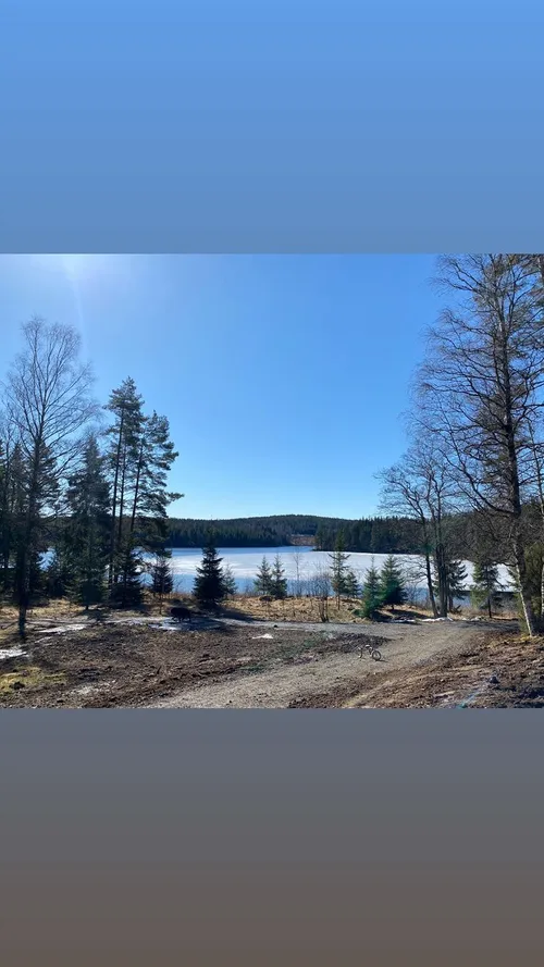 dionne stax 278374562 160421773044598 9048928133717125127 n