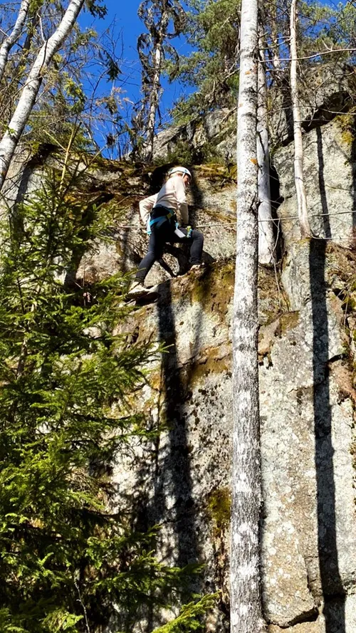 dionne stax 278786467 704733217613897 621790516762183639 n