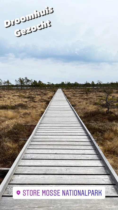 dionne stax 280575891 1155851044961826 6752804889851999059 n