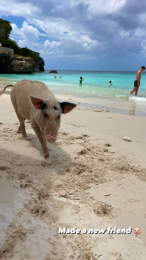 femkekok 3063535674528824566