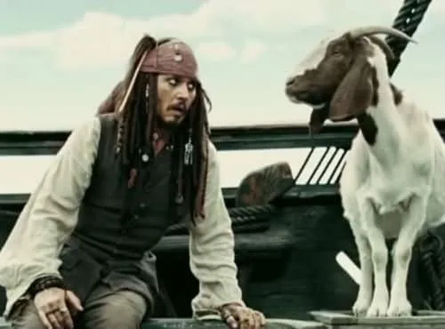 jacksparrow johnny depp mokkels