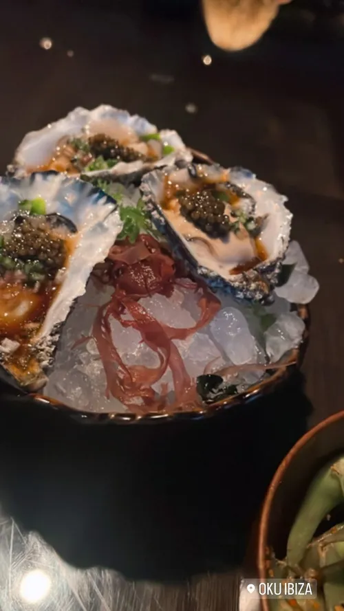 juttaleerdam 296865962 769110224410227 1531821779058387467 n