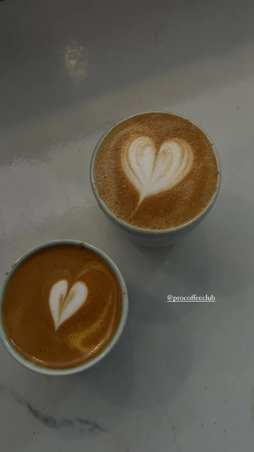 liekeklaver 437365898 790935575892844 7428810878443661852 n