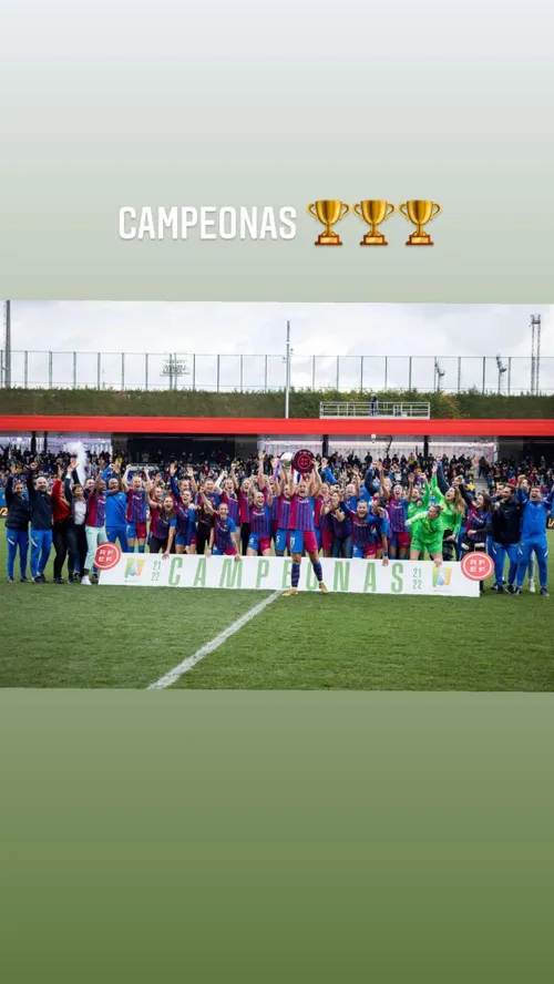 liekemartens 275761032 113912334451841 6946204785889717897 n