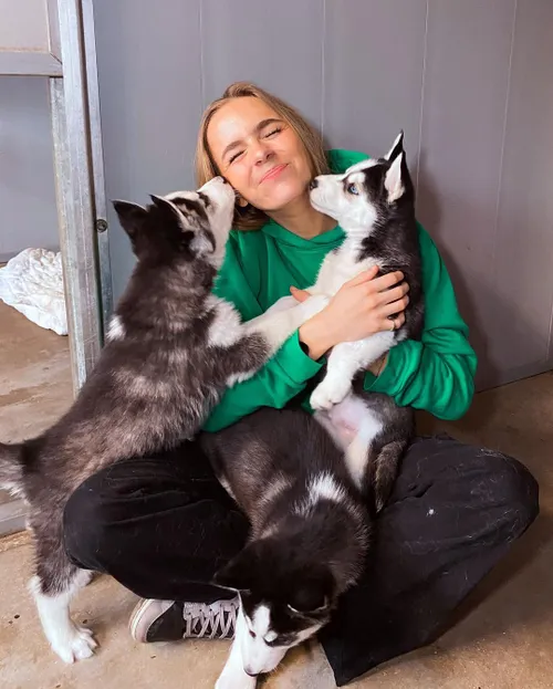 lies zhara 352425331 789315019377930 1114448735608327043 n