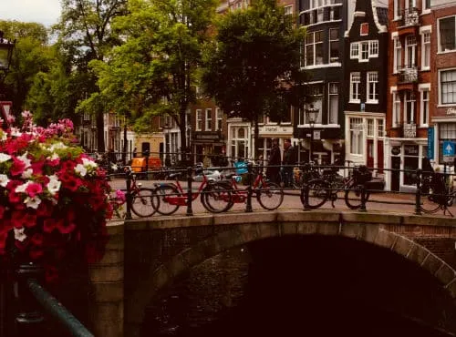 pexels photo 1187911