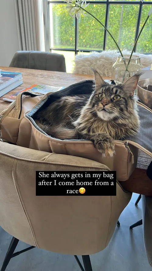 puckmoonen 280321911 1377553796006345 3915798190829019001 n