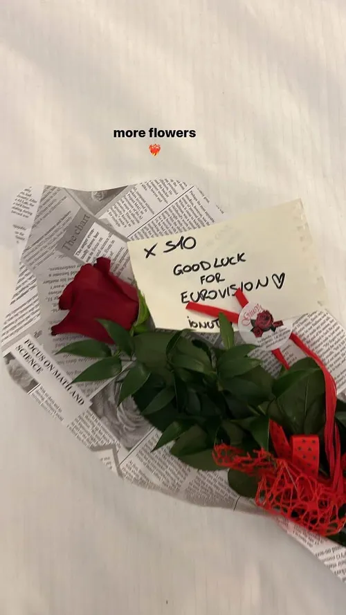 s10s10xx 280011919 523358475943715 3988424049074798734 n