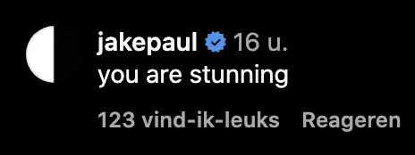 schermafbeelding 2023 11 17 om 120321