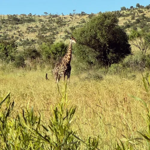 snapinstaapp 408970817 1680414342485957 4417780539433481479 n 1080