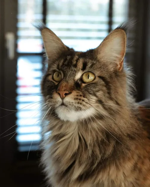 snapinstaapp 412692558 715882897161664 8952654242695815022 n 1080