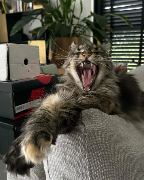 snapinstaapp 412831033 1306177074116202 5285878216001803459 n 1080