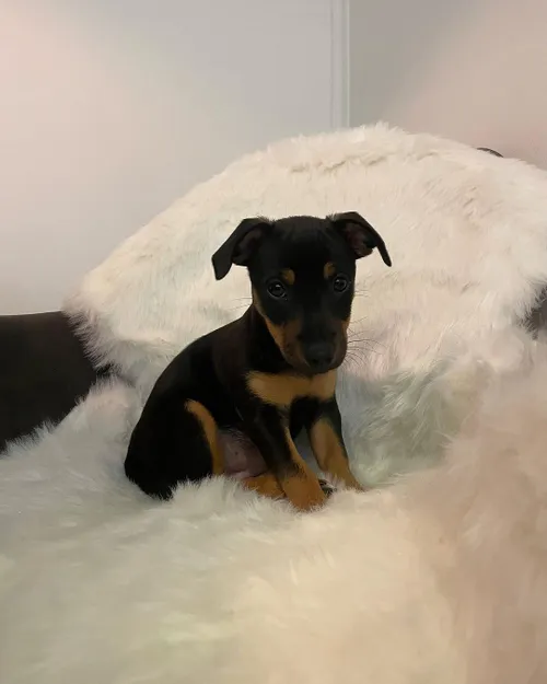 snapinstaapp 414469128 18405650686040631 4021535041139849082 n 1080