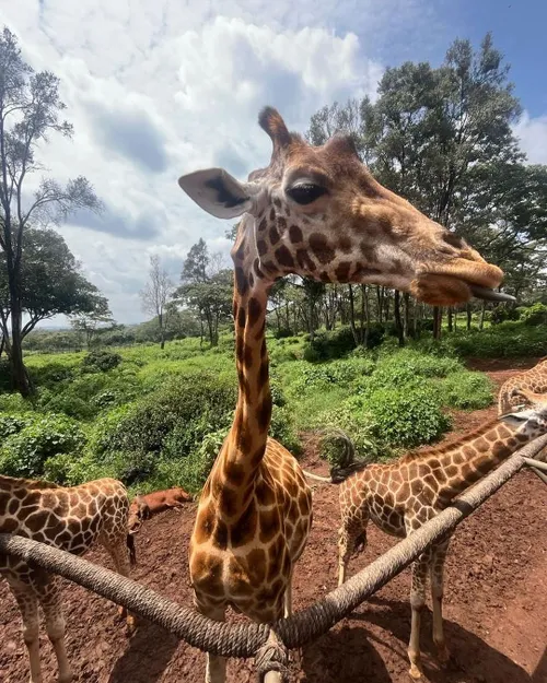 snapinstaapp 421832077 18300119269182903 3043655649225663459 n 1080