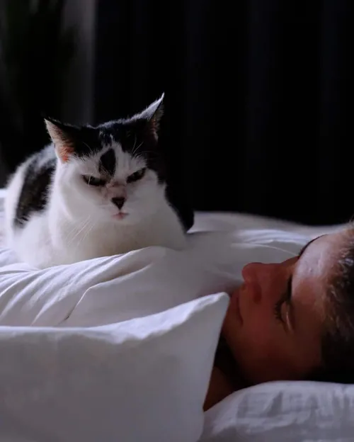 snapinstaapp 424566746 2868725349946274 5350716013888011509 n 1080