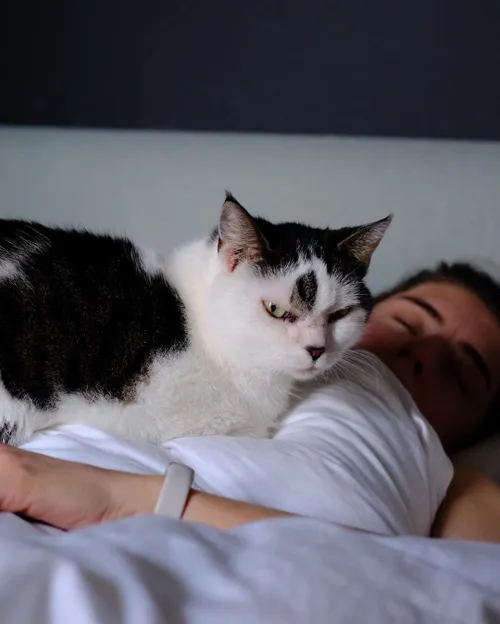 snapinstaapp 424619922 842167897668973 2154570337300144671 n 1080