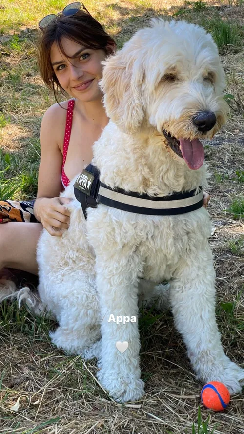 sophiebouquet 2866766654143098006