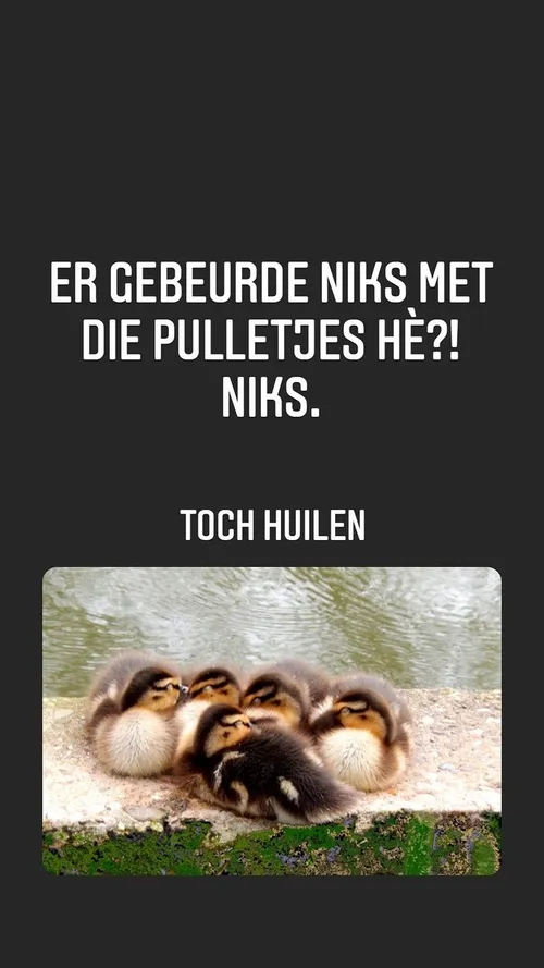 unknown 285928351 735828714269166 6070117349934042031 n