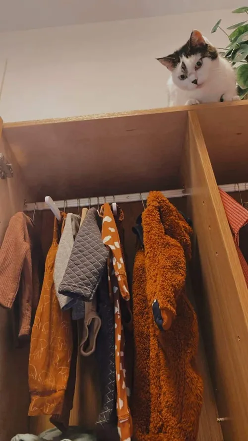 unknown 308500533 160058399971152 2944509808474855075 n