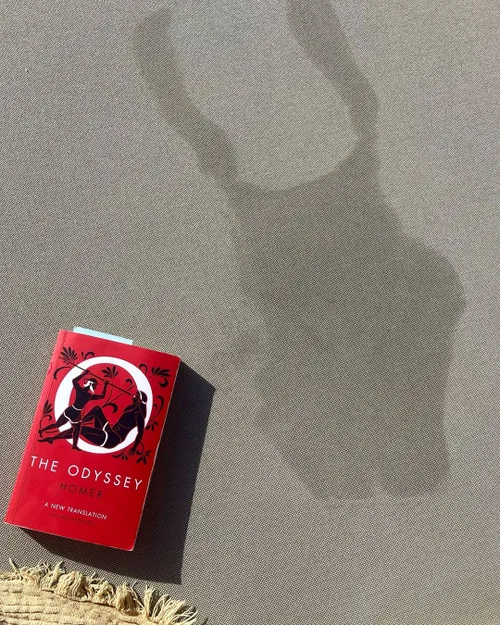 de pluspunten van lisa vol worden stevig vastgepakt