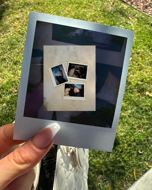 iris enthoven is zwanger maar haar hond is daar niet blij mee