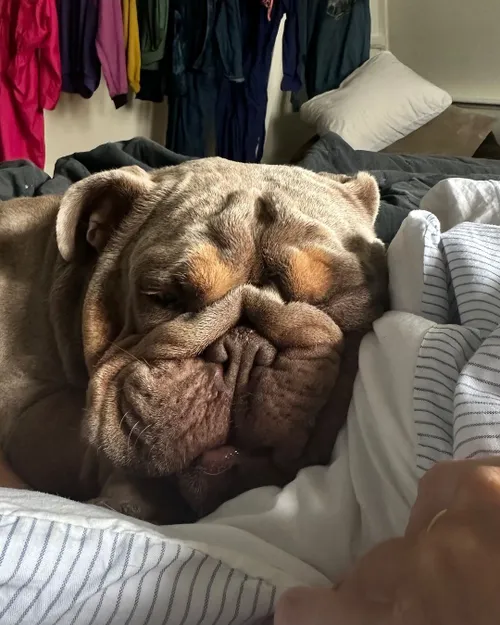 met de hartelijke groeten van mij hoe ga jij op een schaal van 1 tot 10