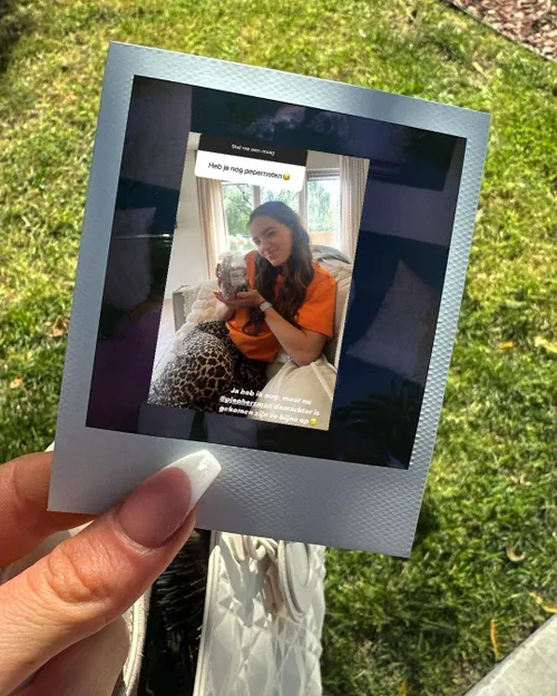 pien smeekt om noten