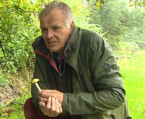 schermafbeelding 2024 09 30 114759