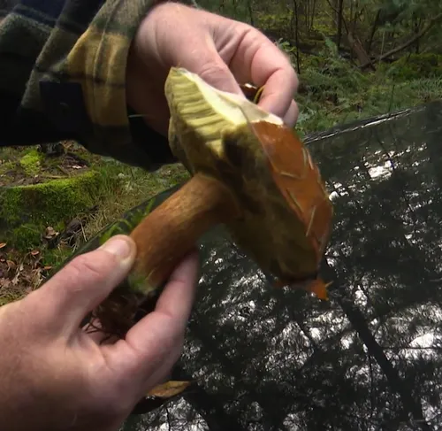 schermafbeelding 2024 09 30 121301