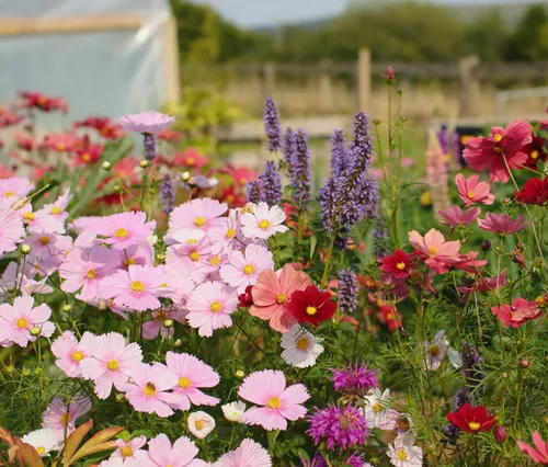 schermafbeelding 2024 10 02 111849