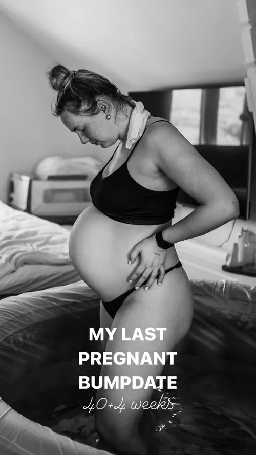 snapinstaapp 436405468 1244987553552730 5205924839889583582 n 1290